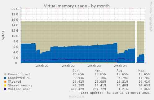 Virtual memory usage