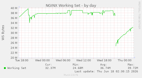 NGINX Working Set