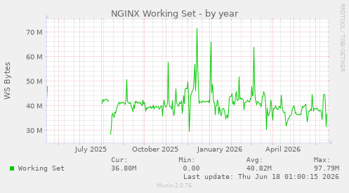 NGINX Working Set