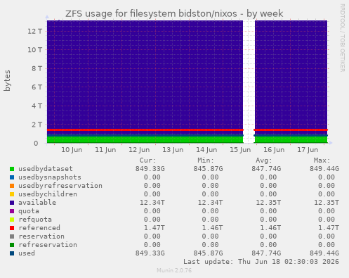 ZFS usage for filesystem bidston/nixos