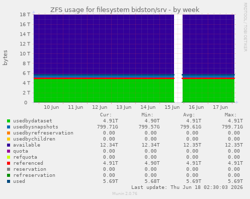 ZFS usage for filesystem bidston/srv